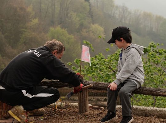 An older man and a boy engage in outdoor activities in a foggy rural setting, surrounded by nature.